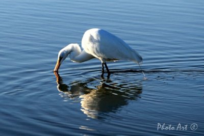 IMG_4412.JPG