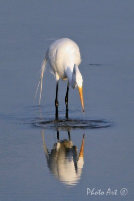 IMG_5022.JPG