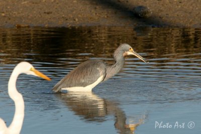 IMG_5066.JPG