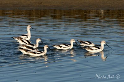 IMG_5082.JPG