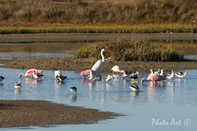 IMG_5128.jpg