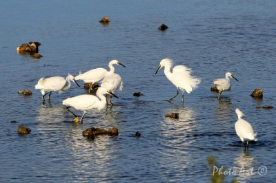 IMG_5479.JPG