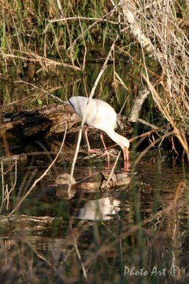 IMG_6806.JPG