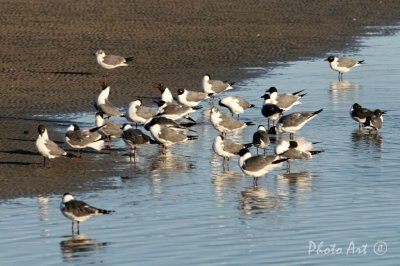 IMG_7489.JPG