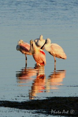 IMG_7542.JPG