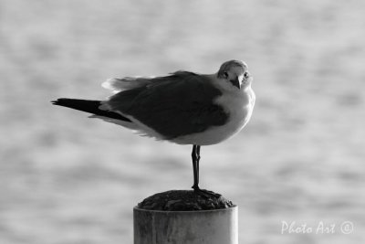 IMG_7829.JPG