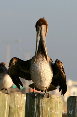 IMG_7848.JPG