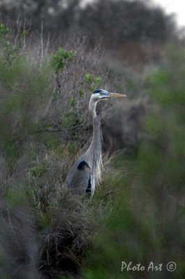 IMG_7926.JPG