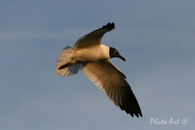 IMG_8366.JPG