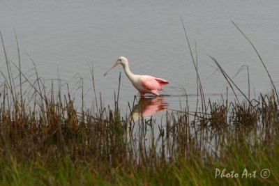 IMG_8418.JPG