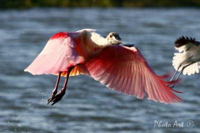 IMG_8892.JPG
