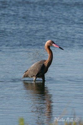 IMG_8911.JPG