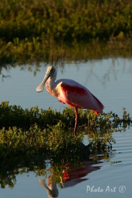 IMG_9134.JPG