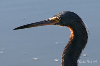 IMG_9186.JPG