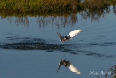 IMG_9282.JPG