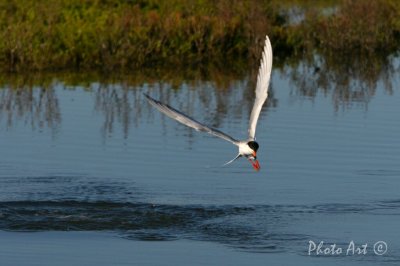 IMG_9283.JPG