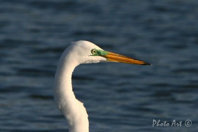 IMG_9689.JPG