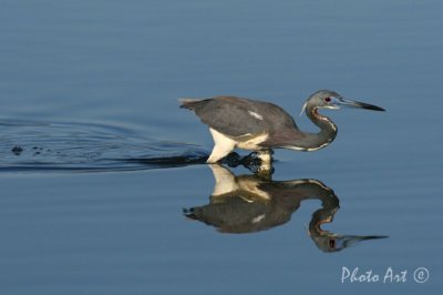 IMG_0630.JPG
