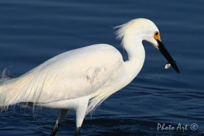 IMG_0684.jpg