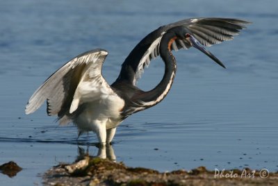 IMG_0726.JPG