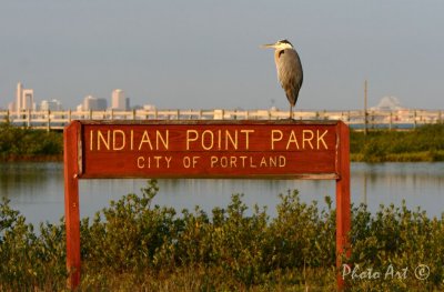 IMG_1377.jpg