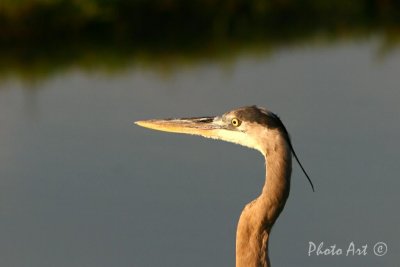 IMG_1404.JPG