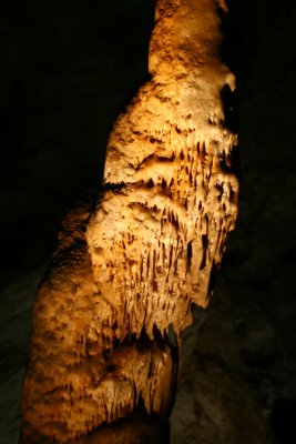 IMG_2181.JPG