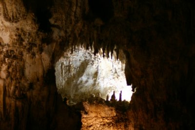 IMG_2204.JPG