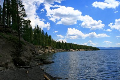 IMG_3154.jpg
