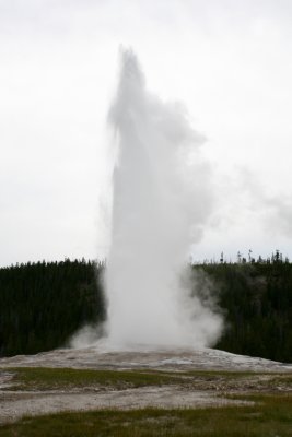 IMG_3611.JPG