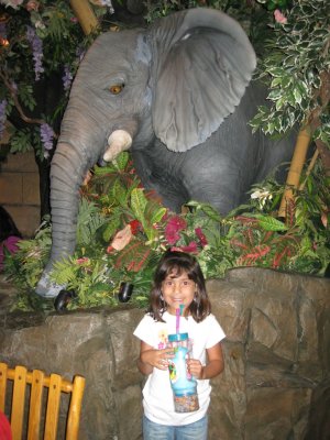 IMG_2284.JPG