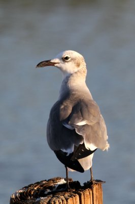 IMG_0056