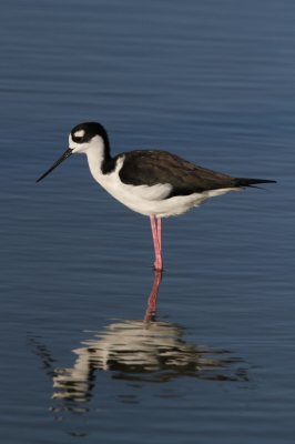 IMG_0718