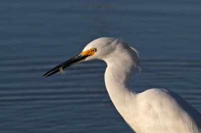 IMG_0840