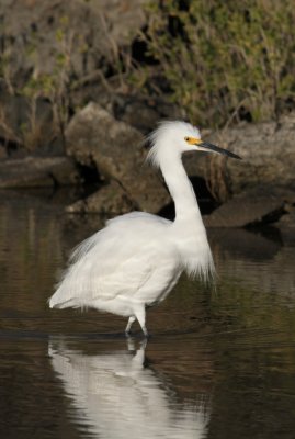 IMG_0881