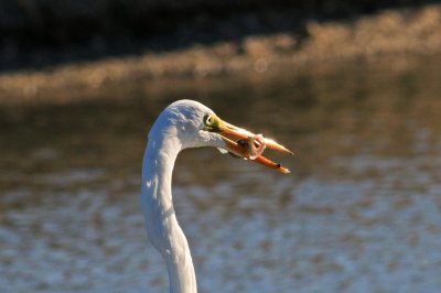 IMG_1157