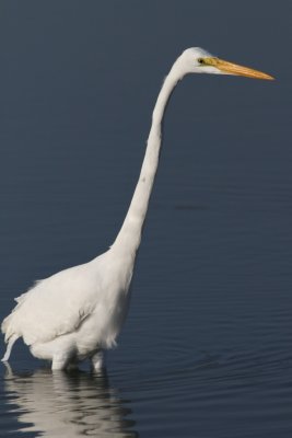 IMG_1666