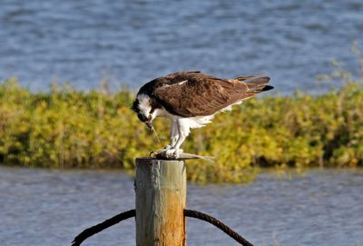 IMG_1883
