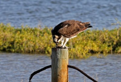 IMG_1964