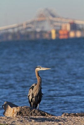 IMG_2059