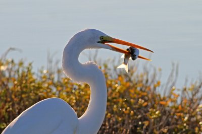 IMG_2072