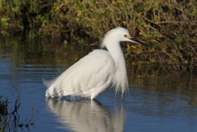 IMG_2081