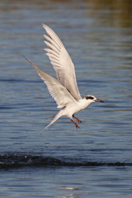 IMG_2121
