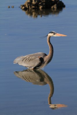 IMG_2305