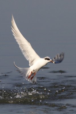 IMG_2472