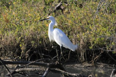 IMG_2613-1