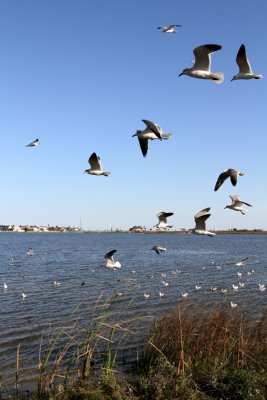 IMG_2990