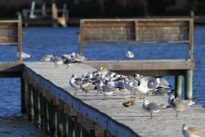 IMG_3001