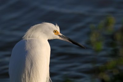 IMG_3338