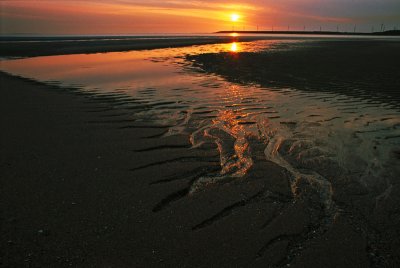 Go with the Flow